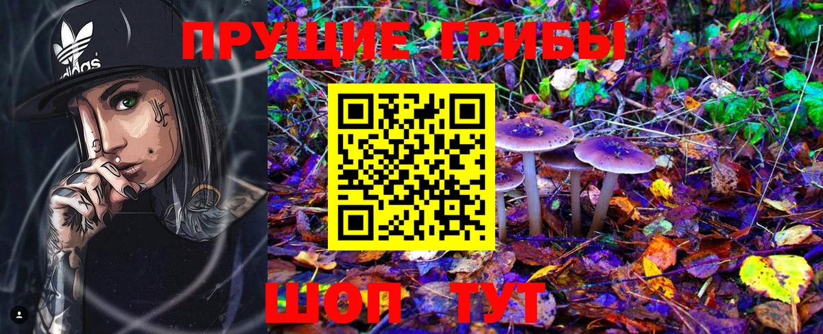 Галлюциногенные грибы GOLDEN TEACHER Великий Устюг